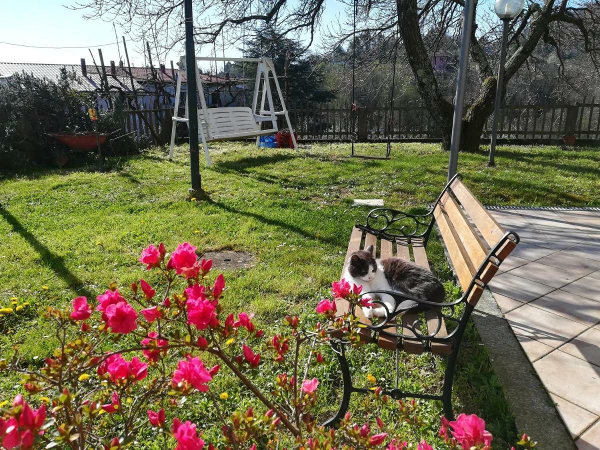 Casa Marina Holiday home